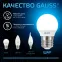 Лампа светодиодная Шар 9.5W 950lm 6500K E27 LED 1/10/100 | 105102310 | Gauss