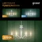 Лампа светодиодная Filament Свеча на ветру 13W 1100lm 2700К Е14 LED 1/10/50 | 104801113 | Gauss