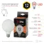 Лампа светодиодная F-LED G95-12w-827-E27 OPAL (филамент, шар опал, 12Вт, тепл, E27) | Б0047036 | ЭРА