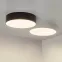 Светильник SP-RONDO-R250-30W Day4000 (BK, 120 deg, 230V) (Arlight, IP40 Металл, 3 года) | 022240(2) | Arlight