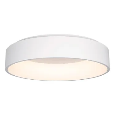 Светильник SP-TOR-RING-SURFACE-R600-42W Day4000 (WH, 120 deg) | 022136(1) | Arlight