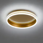 Светильник светодиодный управляемый с пультом 80W, Max. 4800Lum, 3000К-6500K, IP20, золото AL5880 SHINNING RING | 41694 | FERON