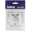 Розетка Intro Accent 6-410-06 , P+E Schuko со шторками, 16А-250В + 2хUSB, IP20, СУ, перламутр