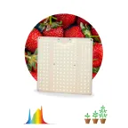 Фитопрожектор для растений светодиодный FITO-80W-LED-QB Quantum board