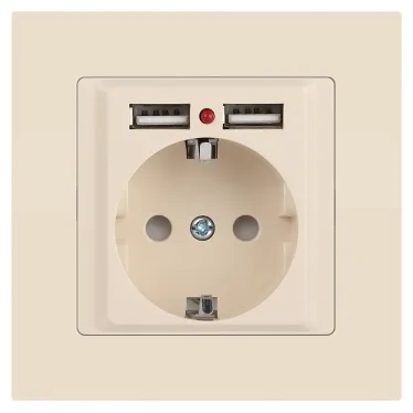 Розетка Intro Accent 6-410-02 , P+E Schuko со шторками, 16А-250В + 2хUSB, IP20, СУ, слоновая кость