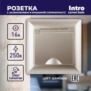 Розетка 2P+E Schuko с крышкой, 16А-250В, СУ, Solo, шампань, 4-203-04
