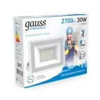 Прожектор светодиодный ДО 30 Вт 2700 лм 6500К AC 220В IP65 126х136х126мм Elementary G2 Gauss