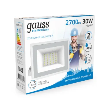 Прожектор светодиодный ДО 30 Вт 2700 лм 6500К AC 220В IP65 126х136х126мм Elementary G2 Gauss