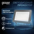 Прожектор светодиодный ДО 100 Вт 12000 лм 6500К AC 220В IP65 210х32х283мм матрированное закаленное стекло Qplus Gauss