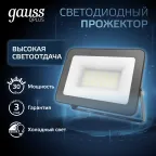 Прожектор светодиодный ДО 30 Вт 3600 лм 6500К AC 220В IP65 128х28х160мм матрированное закаленное стекло Qplus Gauss