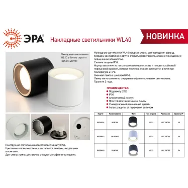 Светильник настенно-потолочный спот WL40 BK GX53, черный, IP54 (лампа с цоколем GX53 в комплект не входит)
