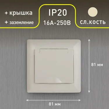 Розетка 2P+E Schuko с крышкой, 16А-250В, СУ, Solo, сл.кость, 4-203-02