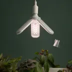 Фитолампа для растений светодиодная LED 30 Вт 3-х лепестковая Е27 полного спектра GREEN LINE ФИТО-30W-PFR-E27-GR
