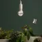 Фитолампа для растений светодиодная GREEN LINE ФИТО А60-15W-PFR-E27-GR полного спектра 15 Вт Е27