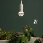 Фитолампа для растений светодиодная GREEN LINE ФИТО А60-15W-PFR-E27-GR полного спектра 15 Вт Е27