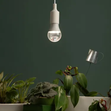 Фитолампа для растений светодиодная GREEN LINE ФИТО А60-15W-PFR-E27-GR полного спектра 15 Вт Е27
