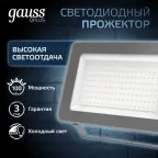 Прожектор светодиодный ДО 100 Вт 10500 лм 6500К AC 220В IP65 210х32х283мм матрированное закаленное стекло Qplus Gauss