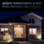 Прожектор светодиодный ДО 200 Вт 21000 лм 6500К AC 220В IP65 290х32х400мм матрированное закаленное стекло Qplus Gauss