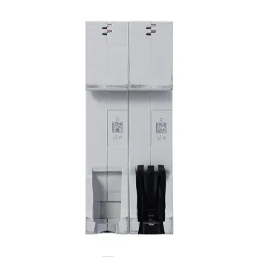 Выключатель автоматический двухполюсный SH202L 6А C 4,5кА (SH202L C6) | 2CDS242001R0064 | ABB