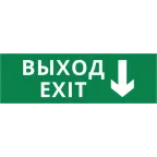 Пиктограмма ДСО-IP65-Н "Выход - вниз" | 60568DEK | DEKraft