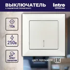 Выключатель Intro Solo 4-102-06