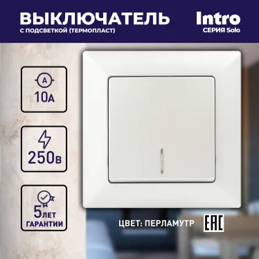 Выключатель Intro Solo 4-102-06