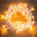                  Гирлянда "Твинкл Лайт" 6 м, прозрачный ПВХ, 40 LED, цвет  ТЕПЛЫЙ БЕЛЫЙ | 303-176 | NEON-NIGHT
               