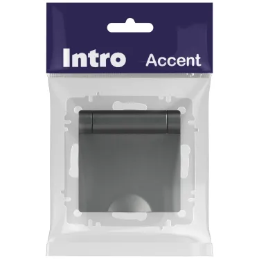 Розетка Intro Accent 6-203-07 2P+E Schuko с крышкой, 16А-250В, IP20, СУ, AL/CU, графит