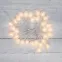Гирлянда светодиодная Шишки 5 м, 30 LED, прозрачный ПВХ с контроллером, цвет свечения теплый белый | 303-069 | NEON-NIGHT