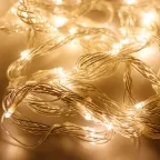                  Светодиодная гирлянда ARD-STRING-HOME-10000-CLEAR-99LED-RUN WARM (230V, 10.5W) | 025917 | Arlight
               