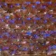 Гирлянда "Сеть" 2х0,7м, черный ПВХ, 176 LED Белые/Синие | 215-012 | NEON-NIGHT