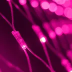 Светодиодная гирлянда ARD-NETLIGHT-CLASSIC-2000x1500-CLEAR-288LED Pink (230V, 18W) | 024683 | Arlight