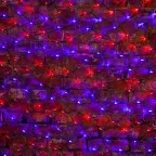 Гирлянда "Сеть" 2х1,5м, черный ПВХ, 288 LED Красные/Синие | 215-023 | NEON-NIGHT
