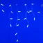 Светодиодная гирлянда ARD-EDGE-CLASSIC-2400x600-WHITE-88LED-STD BLUE (230V, 6W) | 026016 | Arlight