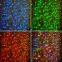 Гирлянда "Светодиодный Дождь" 2х1,5м, прозрачный провод, 230 В, диоды RGB, 300 LED свеч.с динамикой при приобр.контрол.245-907 | 245-309 | NEON-NIGHT