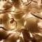 Светодиодная гирлянда ARD-STRING-HOME-10000-WHITE-99LED-RUN WARM (230V, 10.5W) | 025920 | Arlight