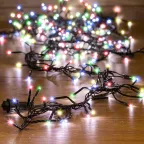                  Гирлянда «Кластер LED» 3 м, темно-зеленый ПВХ IP20, 288 диодов, цвет мультиколор | 303-629 | NEON-NIGHT
               