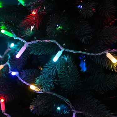 Гирлянда Нить 10м, 100 LED, цвет: RGB. свечение с динамикой  (при использовании контроллера), 230 В | 245-409 | NEON-NIGHT