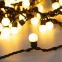 Светодиодная гирлянда ARD-BALL-CLASSIC-D17.5-10000-BLACK-100LED WARM (230V, 7W) | 025584 | Arlight