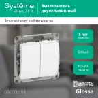 GLOSSA Выключатель двухклавишный в рамку белый сх.5