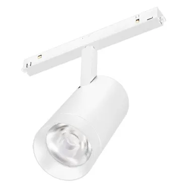 Светильник MAG-ORIENT-SPOT-R65-20W Day4000 (WH, 24 deg, 48V) (Arlight, IP20 Металл, 5 лет) | 037122 | Arlight