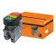 Кнопка двойная MPD3-11Y (зеленая/красная) (LED) в сборе d22мм/24В (ON/OFF)  линза желтая | SQ0747-0064 | TDM