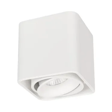 Светильник SP-CUBUS-S100x100-8W Day4000 (WH, 45 deg, 230V) (Arlight, IP20 Металл, 3 года) | 036048 | Arlight