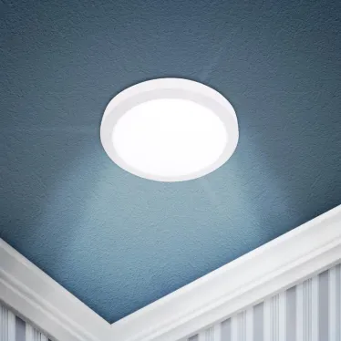 Светильник светодиодный   LED 8-12-4K круглый накладной LED 12W 220V 4000K, белый | Б0050275 | ЭРА