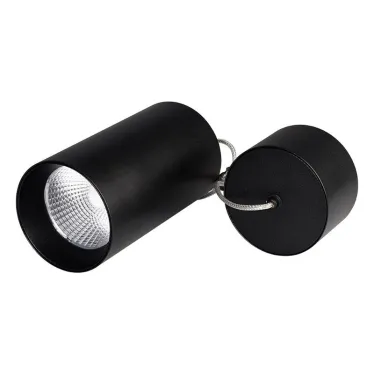 Светильник подвесной SP-POLO-R85-2-15W Day White 40deg (Black, Black Ring) | 022956 | Arlight