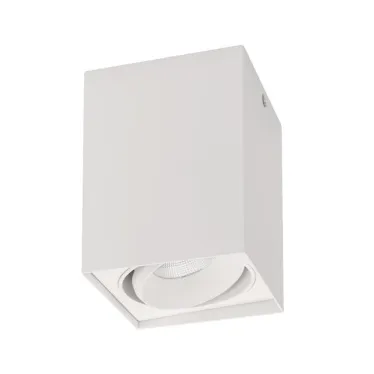 Светильник SP-CUBUS-S100x100-11W Day4000 (WH, 40 deg, 230V) (Arlight, IP20 Металл, 3 года) | 023078(2) | Arlight