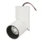 Светильник SP-TWIST-SURFACE-R70-12W Warm3000 (WH-BK, 30 deg) (Arlight, IP40 Металл, 3 года) | 024992(1) | Arlight