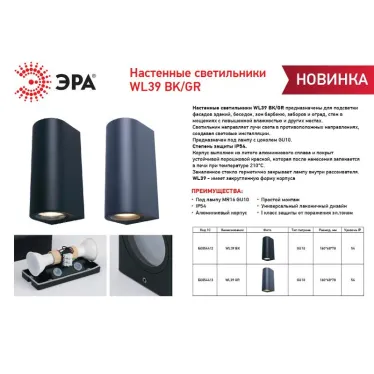 Декоративная подсветка WL39 BK MR16/GU10 (2 шт.), черный, для интерьера, фасадов зданий | Б0054412 | ЭРА