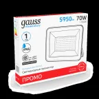 Прожектор светодиодный  Elementary 70W 4370lm IP65 6500К черный ПРОМО 1/10 | 613100370P | Gauss
