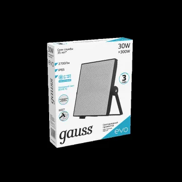 Прожектор светодиодный EVO 30W 2700 lm IP65 6500К, IK07, черный 1/30 | 687511330 | Gauss
